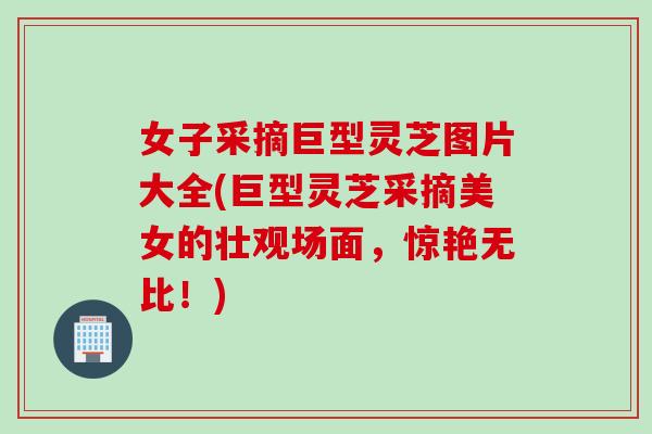 女子采摘巨型灵芝图片大全(巨型灵芝采摘美女的壮观场面，惊艳无比！)
