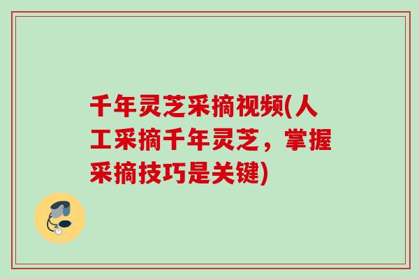 千年灵芝采摘视频(人工采摘千年灵芝，掌握采摘技巧是关键)