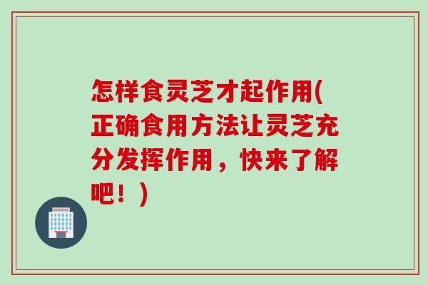 怎样食灵芝才起作用(正确食用方法让灵芝充分发挥作用，快来了解吧！)