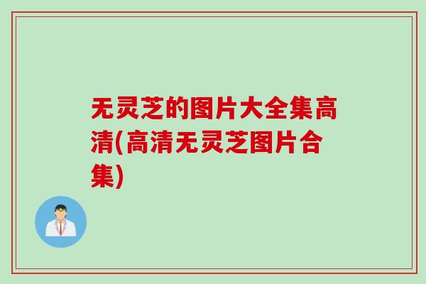 无灵芝的图片大全集高清(高清无灵芝图片合集) 无灵芝的图片大全集高清(高清无灵芝图片合集)