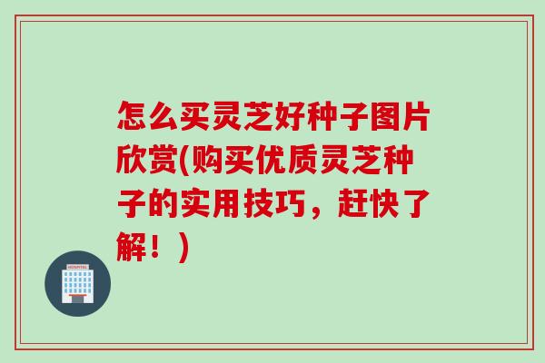 怎么买灵芝好种子图片欣赏(购买优质灵芝种子的实用技巧，赶快了解！)