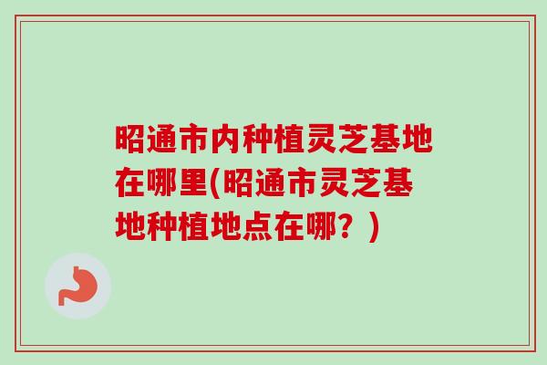昭通市内种植灵芝基地在哪里(昭通市灵芝基地种植地点在哪？)