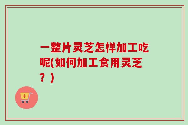 一整片灵芝怎样加工吃呢(如何加工食用灵芝？)
