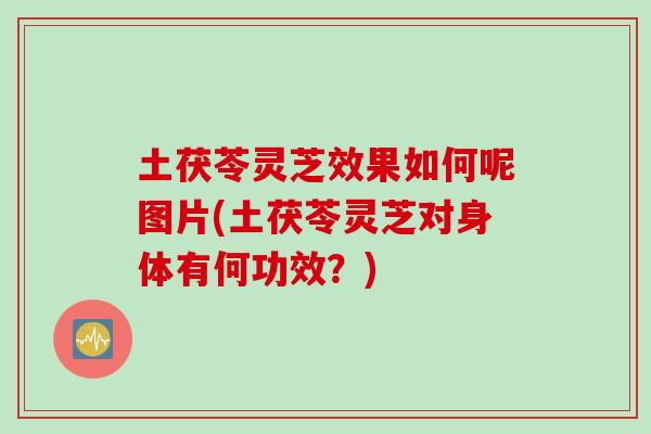 土茯苓灵芝效果如何呢图片(土茯苓灵芝对身体有何功效?) 土茯苓灵芝效果如何呢图片(土茯苓灵芝对身体有何功效?)
