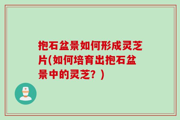 抱石盆景如何形成灵芝片(如何培育出抱石盆景中的灵芝?) 抱石盆景如何形成灵芝片(如何培育出抱石盆景中的灵芝?)