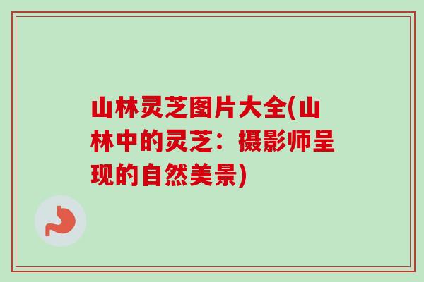 山林灵芝图片大全(山林中的灵芝：摄影师呈现的自然美景)