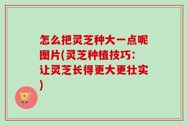 怎么把灵芝种大一点呢图片(灵芝种植技巧:让灵芝长得更大更壮实) 怎么把灵芝种大一点呢图片(灵芝种植技巧:让灵芝长得更大更壮实)