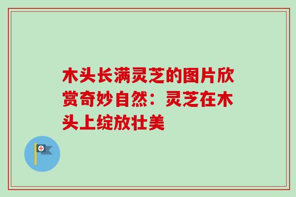 木头长满灵芝的图片欣赏奇妙自然:灵芝在木头上绽放壮美 木头长满灵芝的图片欣赏奇妙自然:灵芝在木头上绽放壮美