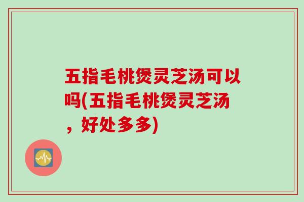 五指毛桃煲灵芝汤可以吗(五指毛桃煲灵芝汤，好处多多)