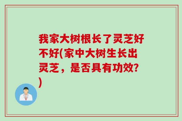 我家大树根长了灵芝好不好(家中大树生长出灵芝，是否具有功效？)