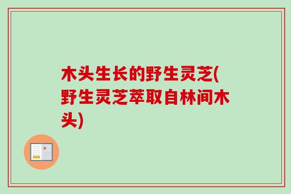 木头生长的野生灵芝(野生灵芝萃取自林间木头)