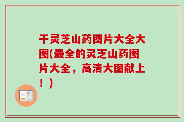 干灵芝山药图片大全大图(全的灵芝山药图片大全,高清大图献上!) 干灵芝山药图片大全大图(全的灵芝山药图片大全,高清大图献上!)