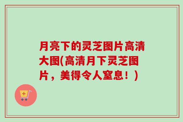 月亮下的灵芝图片高清大图(高清月下灵芝图片，美得令人窒息！)