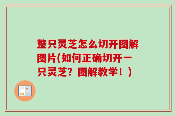 整只灵芝怎么切开图解图片(如何正确切开一只灵芝?图解教学!) 整只灵芝怎么切开图解图片(如何正确切开一只灵芝?图解教学!)