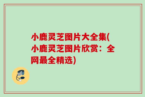 小鹿灵芝图片大全集(小鹿灵芝图片欣赏：全网最全精选)