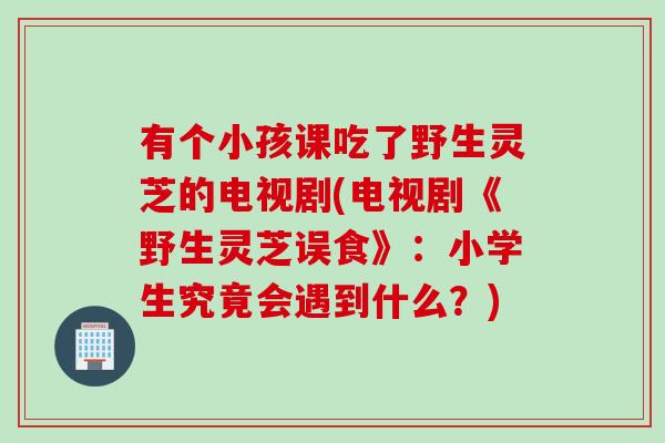 有个小孩课吃了野生灵芝的电视剧(电视剧《野生灵芝误食》：小学生究竟会遇到什么？)