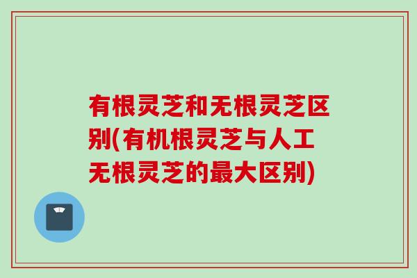 有根灵芝和无根灵芝区别(有机根灵芝与人工无根灵芝的最大区别)