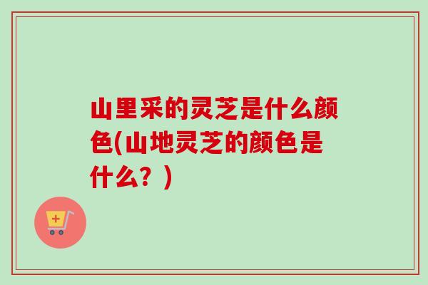 山里采的灵芝是什么颜色(山地灵芝的颜色是什么？)