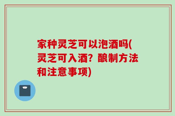 家种灵芝可以泡酒吗(灵芝可入酒?酿制方法和注意事项) 家种灵芝可以泡酒吗(灵芝可入酒?酿制方法和注意事项)