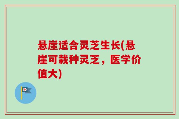悬崖适合灵芝生长(悬崖可栽种灵芝,医学价值大) 悬崖适合灵芝生长(悬崖可栽种灵芝,医学价值大)