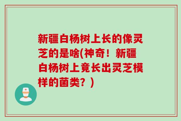 新疆白杨树上长的像灵芝的是啥(神奇!新疆白杨树上竟长出灵芝模样的菌类?) 新疆白杨树上长的像灵芝的是啥(神奇!新疆白杨树上竟长出灵芝模样的菌类?)