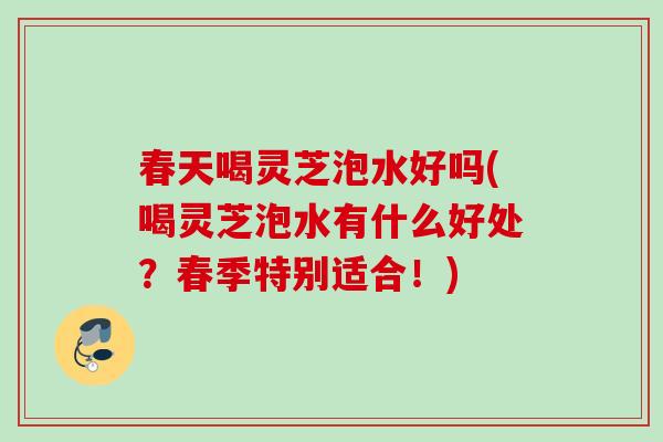 春天喝灵芝泡水好吗(喝灵芝泡水有什么好处？春季特别适合！)