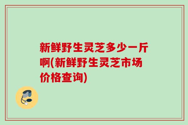新鲜野生灵芝多少一斤啊(新鲜野生灵芝市场价格查询)