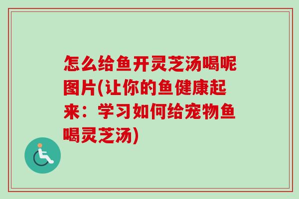 怎么给鱼开灵芝汤喝呢图片(让你的鱼健康起来：学习如何给宠物鱼喝灵芝汤)