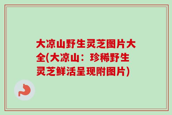 大凉山野生灵芝图片大全(大凉山：珍稀野生灵芝鲜活呈现附图片)