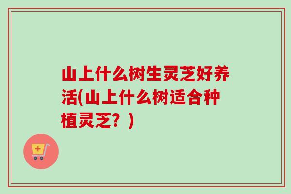 山上什么树生灵芝好养活(山上什么树适合种植灵芝？)