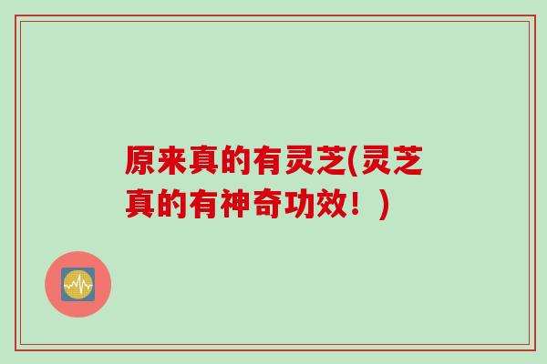原来真的有灵芝(灵芝真的有神奇功效！)