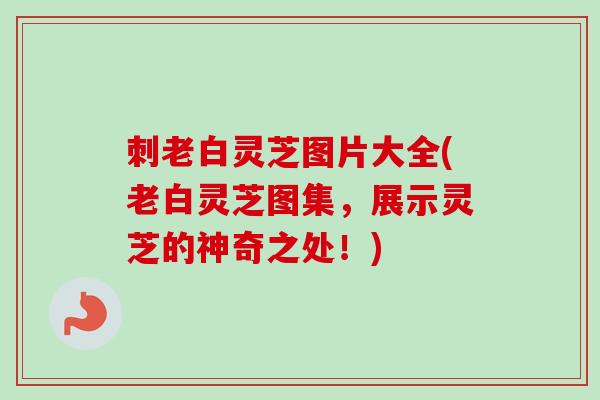 刺老白灵芝图片大全(老白灵芝图集，展示灵芝的神奇之处！)