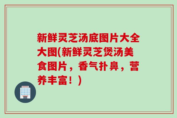 新鲜灵芝汤底图片大全大图(新鲜灵芝煲汤美食图片，香气扑鼻，营养丰富！)