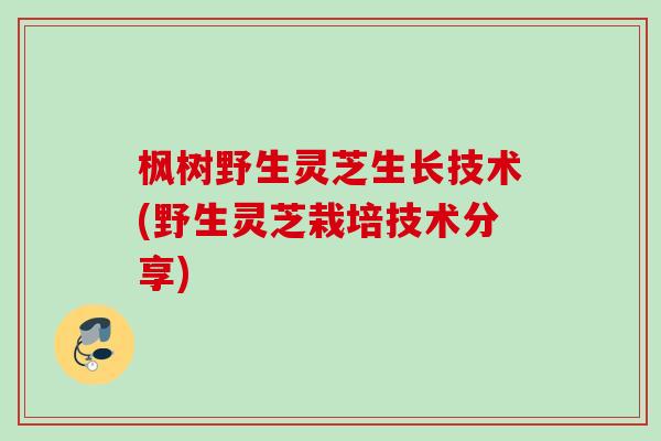 枫树野生灵芝生长技术(野生灵芝栽培技术分享)