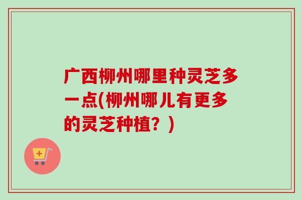广西柳州哪里种灵芝多一点(柳州哪儿有更多的灵芝种植？)