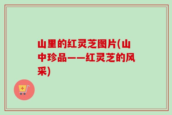 山里的红灵芝图片(山中珍品——红灵芝的风采) 山里的红灵芝图片(山中珍品——红灵芝的风采)