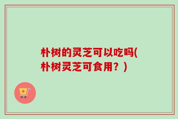 朴树的灵芝可以吃吗(朴树灵芝可食用？)