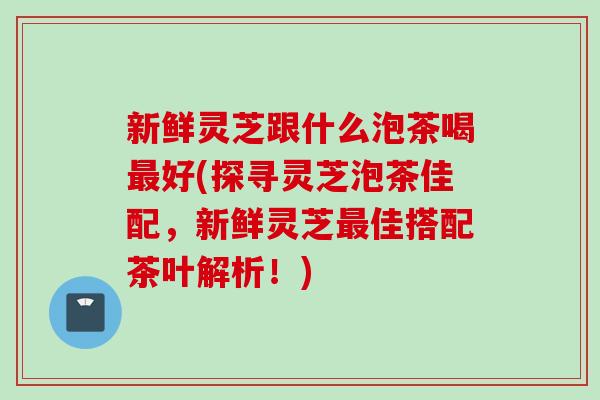 新鲜灵芝跟什么泡茶喝最好(探寻灵芝泡茶佳配，新鲜灵芝最佳搭配茶叶解析！)