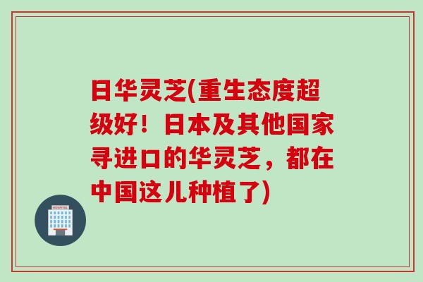 日华灵芝(重生态度超级好！日本及其他国家寻进口的华灵芝，都在中国这儿种植了)