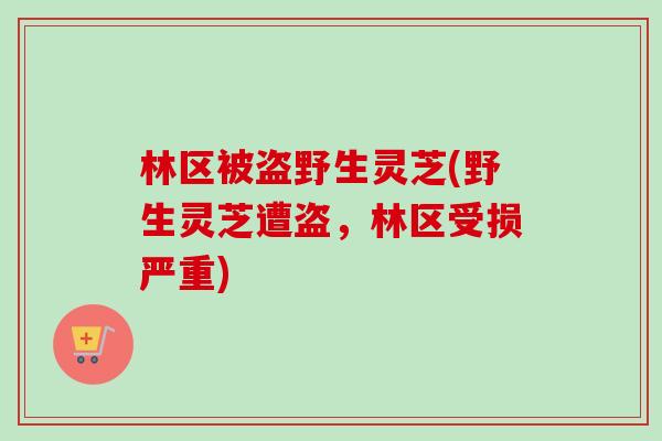 林区被盗野生灵芝(野生灵芝遭盗，林区受损严重)