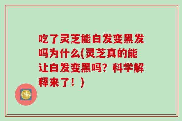 吃了灵芝能白发变黑发吗为什么(灵芝真的能让白发变黑吗？科学解释来了！)