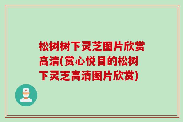 松树树下灵芝图片欣赏高清(赏心悦目的松树下灵芝高清图片欣赏)