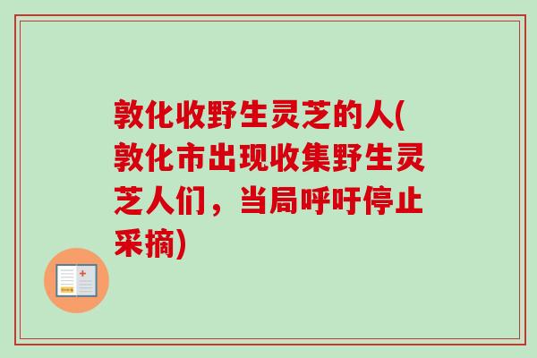 敦化收野生灵芝的人(敦化市出现收集野生灵芝人们，当局呼吁停止采摘)