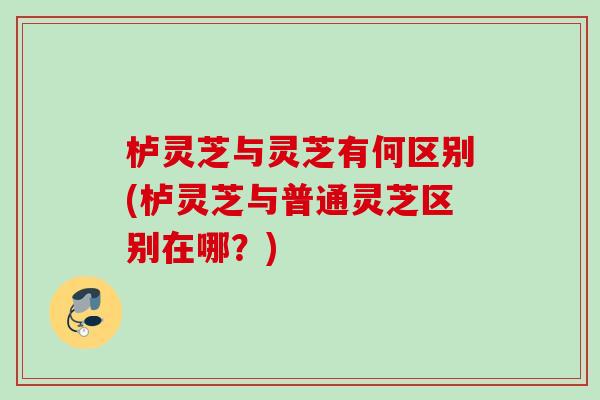 栌灵芝与灵芝有何区别(栌灵芝与普通灵芝区别在哪？)