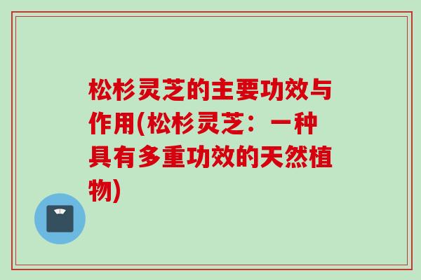 松杉灵芝的主要功效与作用(松杉灵芝：一种具有多重功效的天然植物)