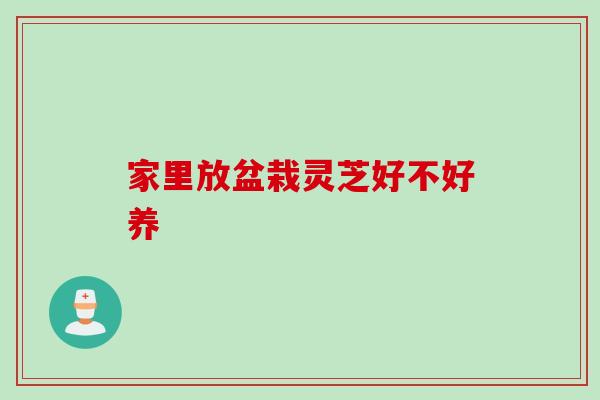 家里放盆栽灵芝好不好养