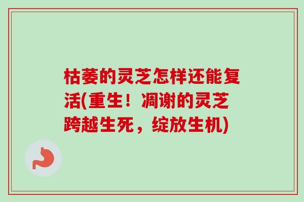 枯萎的灵芝怎样还能复活(重生！凋谢的灵芝跨越生死，绽放生机)