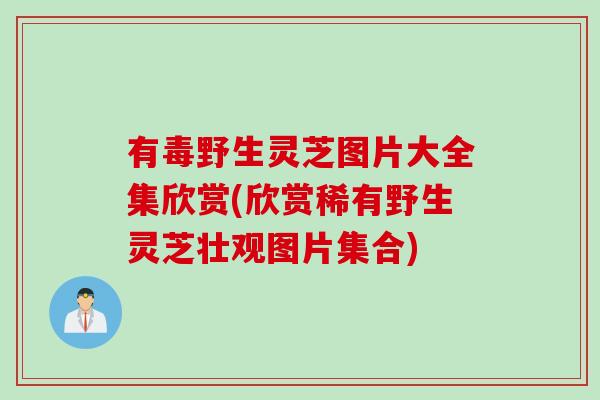 有毒野生灵芝图片大全集欣赏(欣赏稀有野生灵芝壮观图片集合) 有毒野生灵芝图片大全集欣赏(欣赏稀有野生灵芝壮观图片集合)