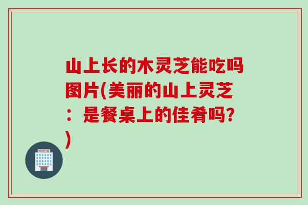 山上长的木灵芝能吃吗图片(美丽的山上灵芝：是餐桌上的佳肴吗？)