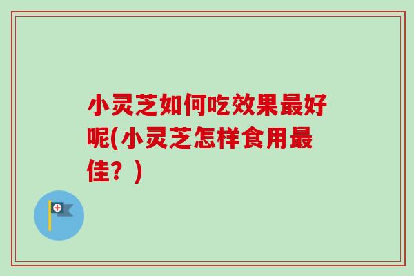 小灵芝如何吃效果最好呢(小灵芝怎样食用最佳？)